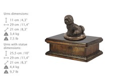 Bichon Frisé, Urne Exclusive