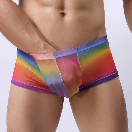 Boxer arc ciel - en,