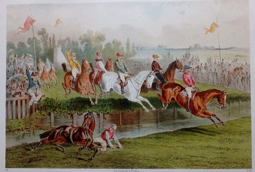 Courses marche hippisme - courses,