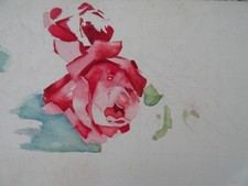 BEAUTIFUL ORIGINAL WATERCOLOR XX° STILL LIFE STUDY BOUQUET FLOWER FLORA BOTANICAL b