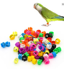 Anneaux Identification Oiseaux