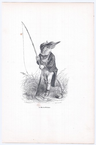 Animaux savants granville - savants,