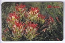 TEST SALON EXPO CARTE CARD 