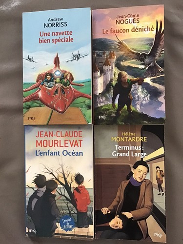 Lot livres pocket jeunesse - lot,