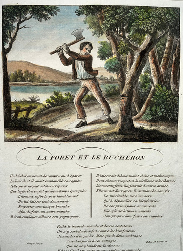 Foret le bucheron - la,