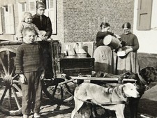 BELGIUM Antwerp Dog Drawn Milk Cart Vintage Stereo Photo 