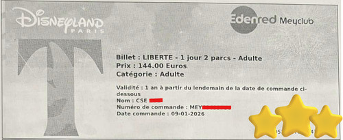Disneyland paris 2 billets - 2,