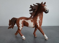 Cheval pinto marron blanc