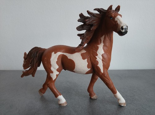 Cheval pinto marron blanc