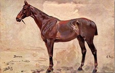 THEMES ANIMAUX - CHEVAUX -