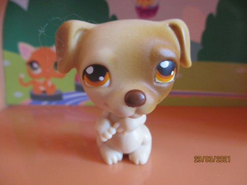 Petshop chien jack russel 109 - russel, #109