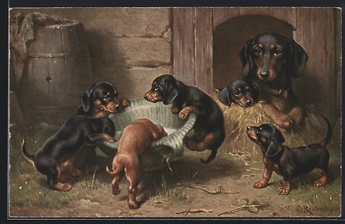 Carte postale artiste teckel - carte,