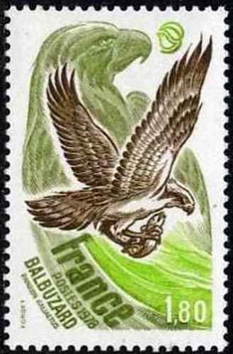 Timbre oiseaux rapaces france - timbre,