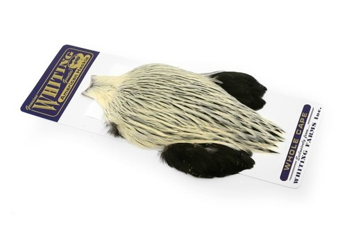Whiting farms american rooster - whiting,