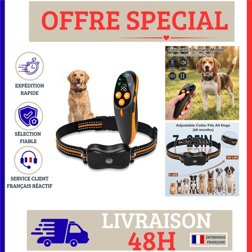 Collier dressage chien avec - collier,