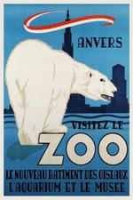 ANVERS ZOO OURS BLANC Rtha-POSTER HQ 40x60cm d'une AFFICHE VINTAGE