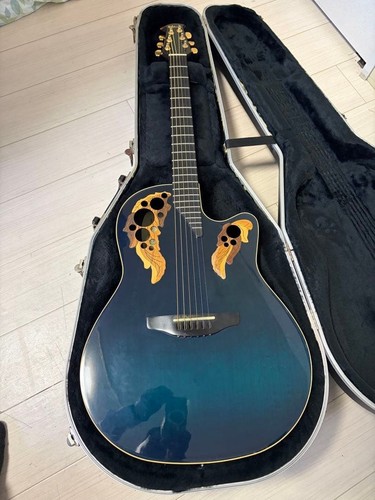 Guitare électrique acoustique
