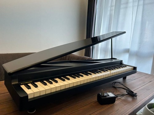 Korg micropiano touches - 61,