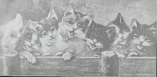 Bande de jeunes chats, dessin, photo ancienne plaque de verre, positif 8,5x10 cm