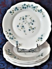 ARCOPAL * VERONICA * 6