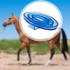 Brosse de massage et de