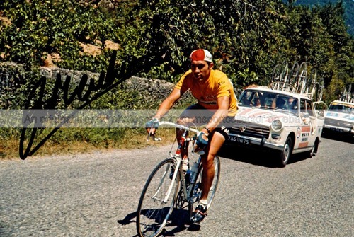 Eddy merckx cyclist - merckx, de