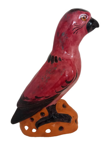 Perroquet alfred renoleau - perroquet,