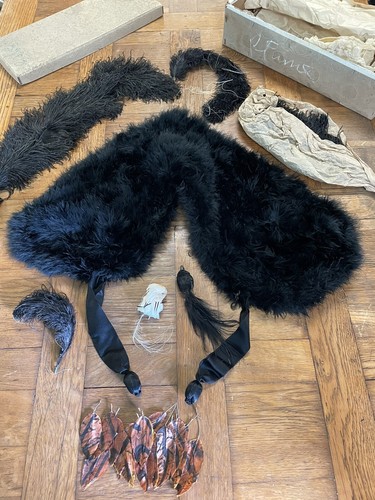 Lot plume col - lot,