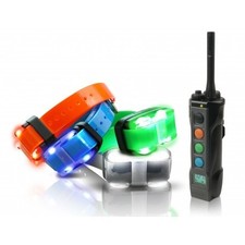 Collier de dressage Dogtra