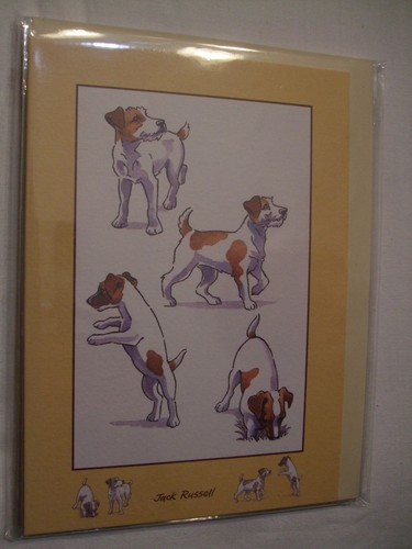 Carte enveloppe chien - carte,