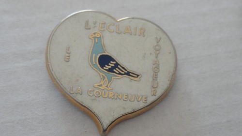 Pin oiseau pigeon voyageur - pin,