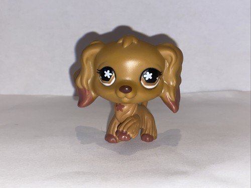 Petshop chien épagneul 716 - petshop, #716