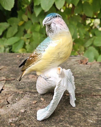 Oiseau porcelaine saxe karl - porcelaine,