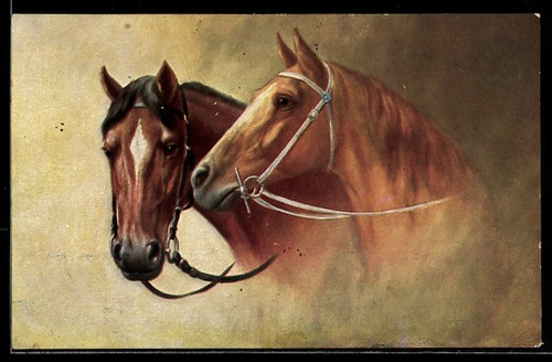 Carte postale deux chevaux