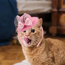 Déguisement Chien Accessoire