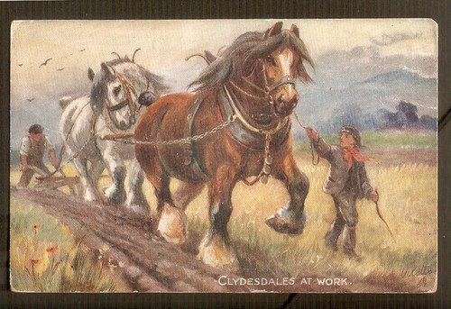 Carte postale cpsm - carte,