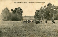 Carte MILLEMONT Le château Le