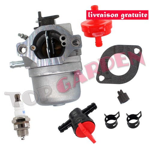 Carburateur avec filtre - carburateur,
