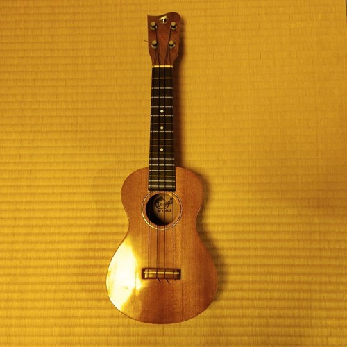 Tangi hawaii soprano - of,