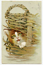 CAT CAT SPY WICKER BASKET WICKER BASKETBALL 1904
