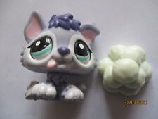 PETSHOP PUPPY HUSKY N°1810 + ORIGINAL ACCESSORY