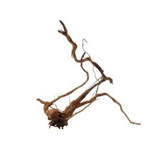 Aquarium Racine Déco