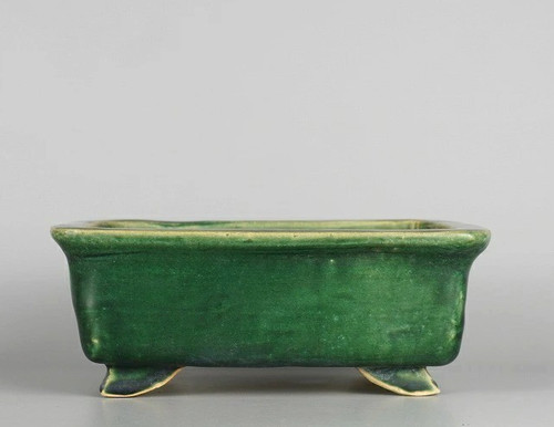 Pot bonsaï japonais - bonsaï,