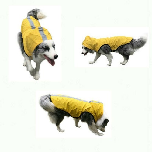 Chien pluie manteaux - chien,