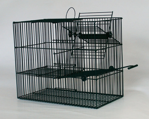Piège oiseaux pour la - piège,