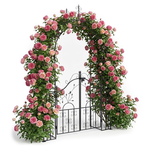 Arche roses jardin - jardin, treillis