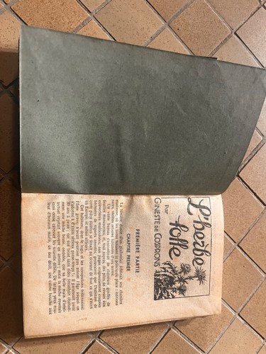 Livre herbe folle gineste - livre,