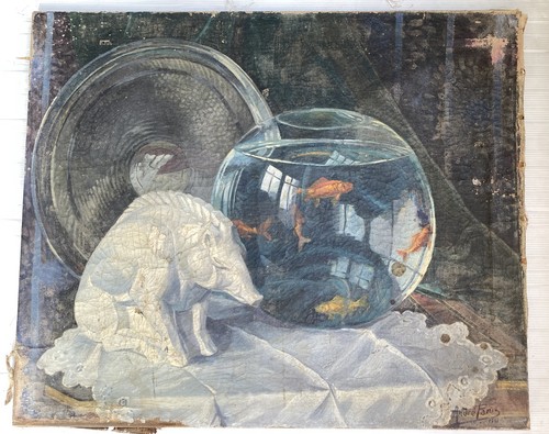 Nature morte aquarium - aquarium, poisson