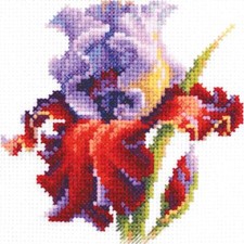 Kit point de croix Magic Needle Zweigart Edition "Iris", compté, DIY, 11x11cm