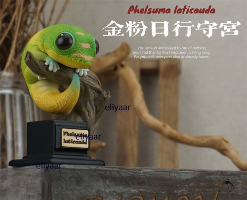 Bowuzhi phelsuma laticauda - bowuzhi,